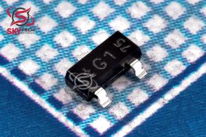 PMBT5551 (G1)