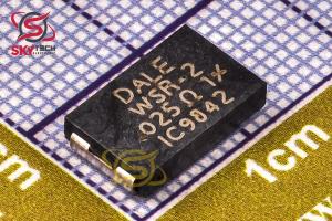 WSR2R0125DEA