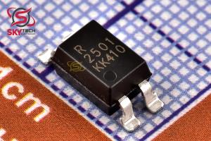 PS2501