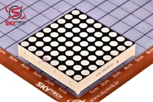 NFM-19881BS-11 (8*8DOT)