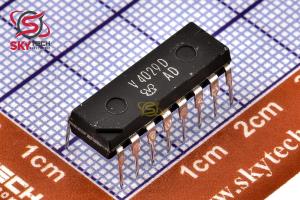 V4029D-AD