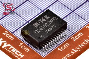 G24102SKGX