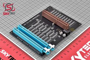 AGP PCI-E X16 DUAL-PURPOSE SOCKET