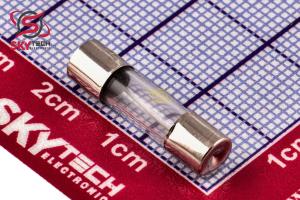 FUSE 10A 250V (F10AL250V)