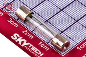 FUSE 30A 250V (F30AL250V)