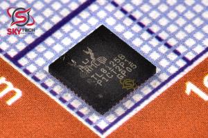 RTL8125BG-CG