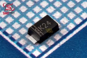 DSK24
